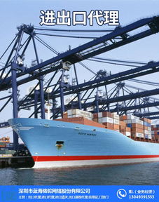 北京進出口報關代理公司 解析藍海駱駝的出口報關代理服務